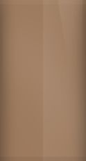 Buick Medium Brown Firemist Metallic WA7147/97 Touch Up Paint swatch