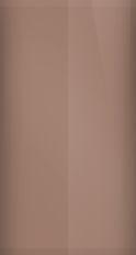 Mercury Medium Taupe Metallic 55/6095 Touch Up Paint swatch