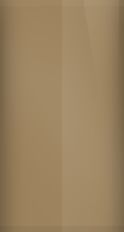Mitsubishi Fargo Brown Metallic C46/PV8 Touch Up Paint swatch