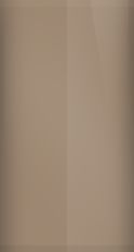 Ford Sequoia Brown Metallic R (1976) Touch Up Paint swatch