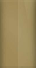 Jaguar Roman Bronze Pearl 1921/BDE Touch Up Paint swatch