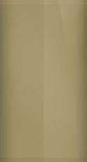 Chevrolet Sandstone WA4635/55 Touch Up Paint swatch