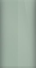 Buick Light Gray Fern Metallic WA7787/44 Touch Up Paint swatch