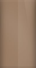 BMW Vermont Bronze Metallic C1Z Touch Up Paint swatch
