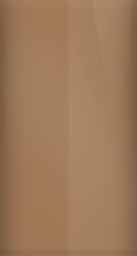 Nissan Light Brown Metallic 842 Touch Up Paint swatch