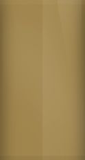 Chevrolet Medium Brown WA9286/Y709P9/65 Touch Up Paint swatch