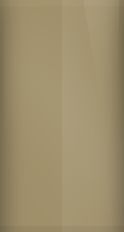 Lamborghini Bronzo Oreadi N/A Touch Up Paint swatch