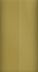 Pontiac Medium Gold Metallic 55 Touch Up Paint swatch