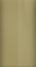 Oldsmobile Tanbark Poly 66 (1973) Touch Up Paint swatch