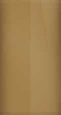 GMC Dark Camel Metallic 62/WA7160 Touch Up Paint swatch