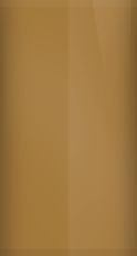 Volkswagen Maya Brown Metallic L98A Touch Up Paint swatch