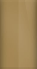 Buick Light Chestnut Metallic WA8575/58 Touch Up Paint swatch