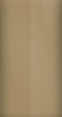 Cadillac Conestoga Tan WA4534/63 Touch Up Paint swatch