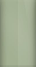 Pontiac Palmetto Green Irid H (1966) Touch Up Paint swatch