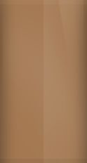 Lexus Brown Metallic 4P3 Touch Up Paint swatch