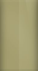 Nissan Light Gold Metallic EY0 Touch Up Paint swatch