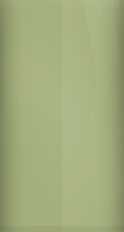 Nissan New Sage Metallic J20 Touch Up Paint swatch