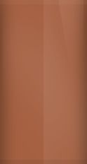 Buick Dark Auburn Metallic WA9236/66 Touch Up Paint swatch
