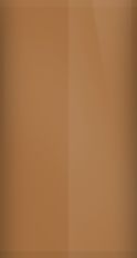 Ford Medium Saddle Pearl Metallic AZ/M6581 Touch Up Paint swatch