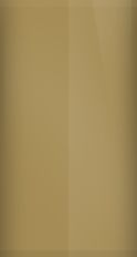Pontiac Signet Gold Irid G (1967) Touch Up Paint swatch