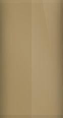 Ford Medium Sandalwood Metallic B8 Touch Up Paint swatch
