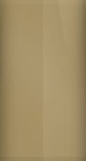Toyota Cinnamon Metallic 4A9 Touch Up Paint swatch
