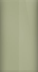 Buick Stone Beige Metallic WA116B/50 Touch Up Paint swatch