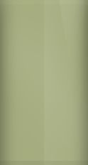 Pontiac Limelight Green Poly 59 (1969) Touch Up Paint swatch