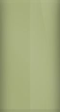 Chrysler Pine Mist Poly FF-1 (1964) Touch Up Paint swatch