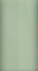 Buick Pastel Green WA8028/40 Touch Up Paint swatch