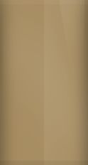 Nissan Bronze Metallic C32 Touch Up Paint swatch