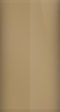Chevrolet Tan WA4279/555 Touch Up Paint swatch