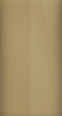 Ford Wheat Metallic Y2/M5941 Touch Up Paint swatch