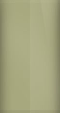 Nissan Champagne Gold Pearl EM1 Touch Up Paint swatch