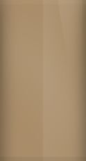 Oldsmobile Cinnamon Bronze Poly M (1968) Touch Up Paint swatch