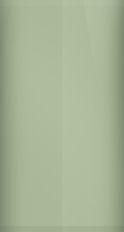 Nissan Green Tea Metallic D11 Touch Up Paint swatch