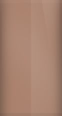 Nissan Sunrise Copper Pearl CBC Touch Up Paint swatch