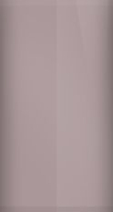 Buick Sunset Silver Metallic WA3956/81 Touch Up Paint swatch