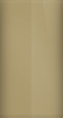 Buick Light Sandrift Metallic WA220C/49 Touch Up Paint swatch
