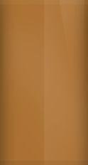 Jeep Dark Brown Metallic 5E Touch Up Paint swatch