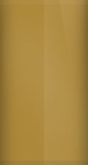 Ford Medium Sonora Metallic DN/M6695 Touch Up Paint swatch