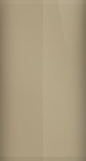 Chevrolet Medium Brown Metallic WA9073/65U Touch Up Paint swatch