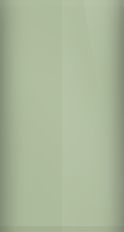 Porsche Granite Green Metallic L699 Touch Up Paint swatch