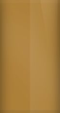 Ford Aztec Gold Metallic AZ/M6819 Touch Up Paint swatch