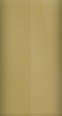 Nissan Khaki CV9 Touch Up Paint swatch