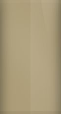 American Motors Khaki 8A Touch Up Paint swatch