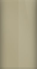 Kawasaki Pearl Lustre Beige KAW057 Touch Up Paint swatch