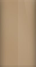Cadillac Knickerbocker Tan WA4652/65 Touch Up Paint swatch