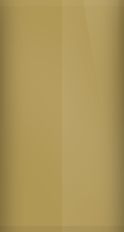 Buick Almond Mist Poly WA4648/58 Touch Up Paint swatch