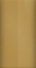Kia Sunburst Gold Metallic 2Y Touch Up Paint swatch
